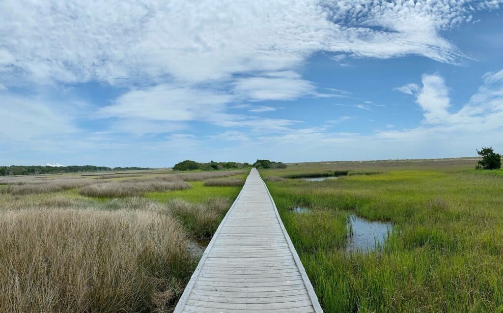 The Fort Fisher Hermit Trail and Guide North Carolina Cottages